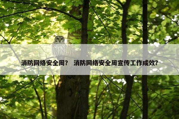 消防网络安全周？ 消防网络安全周宣传工作成效？