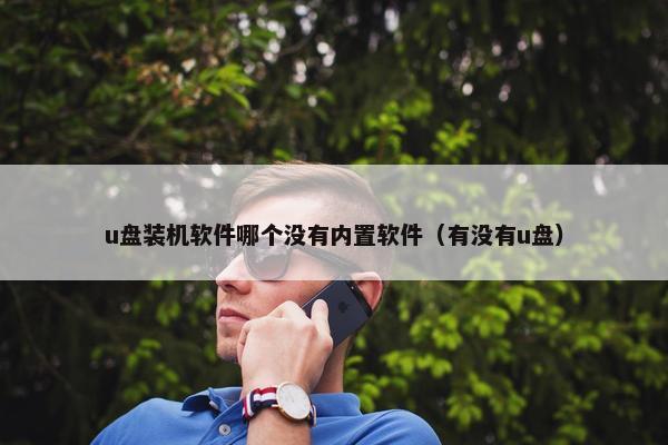 u盘装机软件哪个没有内置软件（有没有u盘）
