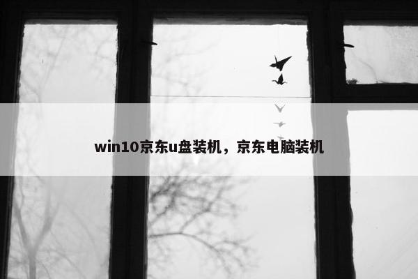 win10京东u盘装机，京东电脑装机