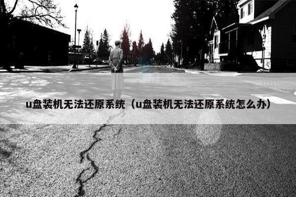 u盘装机无法还原系统（u盘装机无法还原系统怎么办）
