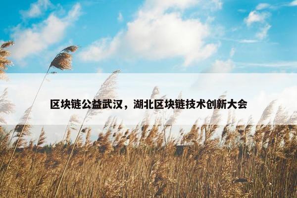 区块链公益武汉，湖北区块链技术创新大会