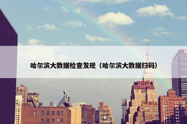 哈尔滨大数据检查发现（哈尔滨大数据扫码）