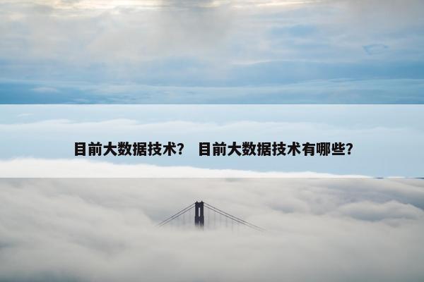 目前大数据技术？ 目前大数据技术有哪些？