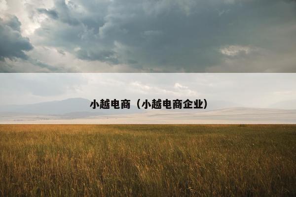 小越电商（小越电商企业）