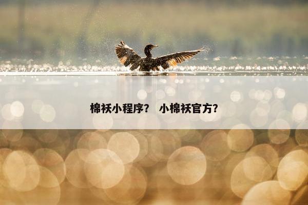 棉袄小程序？ 小棉袄官方？