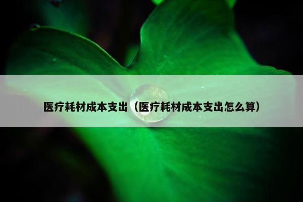 医疗耗材成本支出（医疗耗材成本支出怎么算）