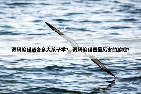 源码编程适合多大孩子学？ 源码编程器最厉害的游戏？