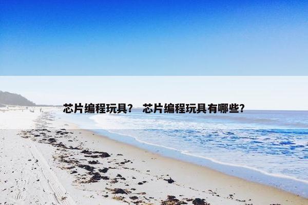 芯片编程玩具？ 芯片编程玩具有哪些？