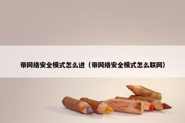 带网络安全模式怎么进（带网络安全模式怎么联网）