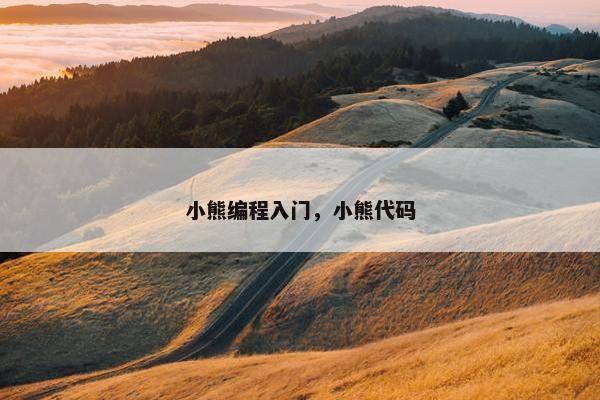 小熊编程入门，小熊代码