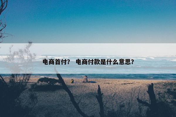 电商首付？ 电商付款是什么意思？