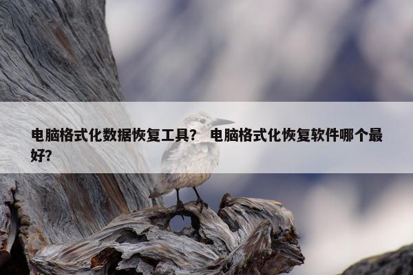 电脑格式化数据恢复工具？ 电脑格式化恢复软件哪个最好？