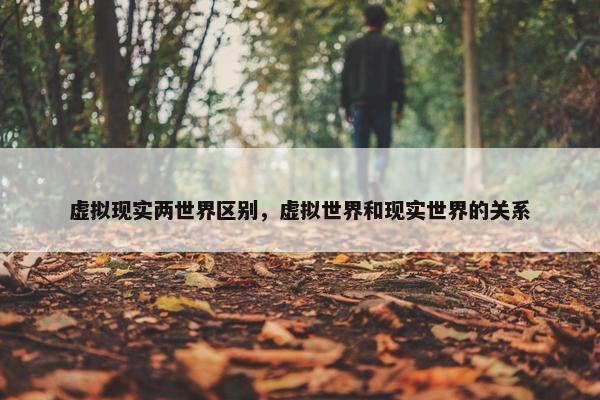 虚拟现实两世界区别，虚拟世界和现实世界的关系