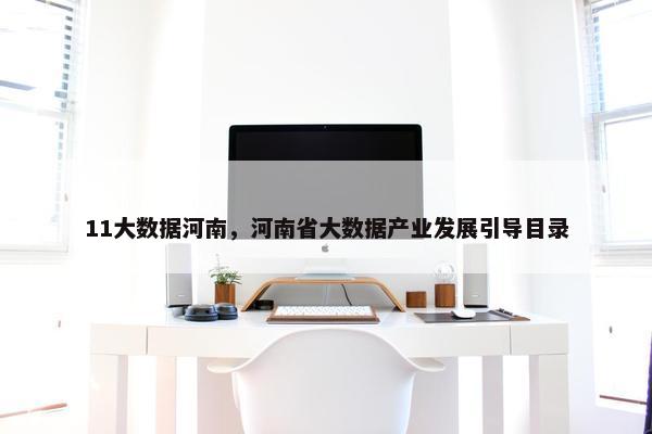 11大数据河南，河南省大数据产业发展引导目录