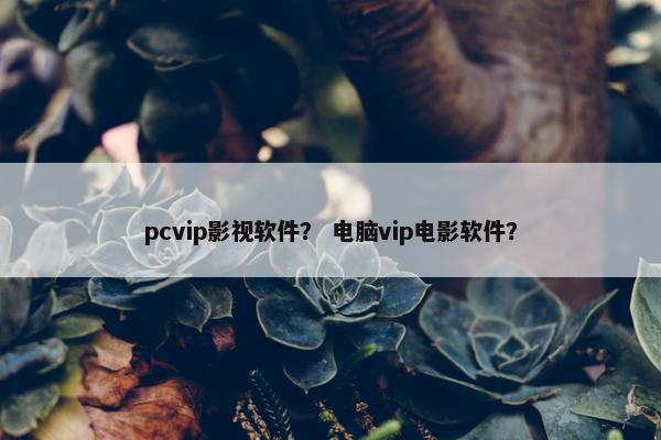 pcvip影视软件？ 电脑vip电影软件？
