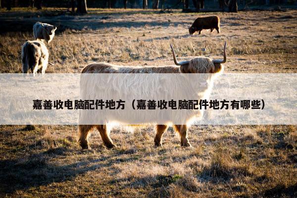 嘉善收电脑配件地方（嘉善收电脑配件地方有哪些）