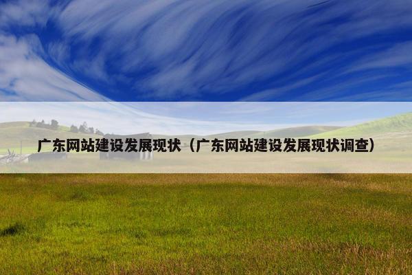 广东网站建设发展现状（广东网站建设发展现状调查）