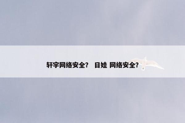轩宇网络安全？ 日娃 网络安全？
