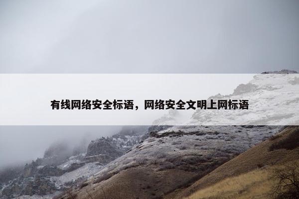 有线网络安全标语，网络安全文明上网标语