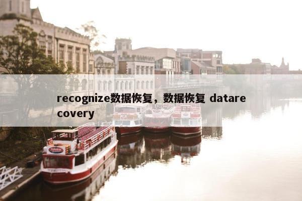 recognize数据恢复，数据恢复 datarecovery