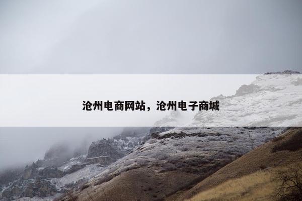 沧州电商网站，沧州电子商城