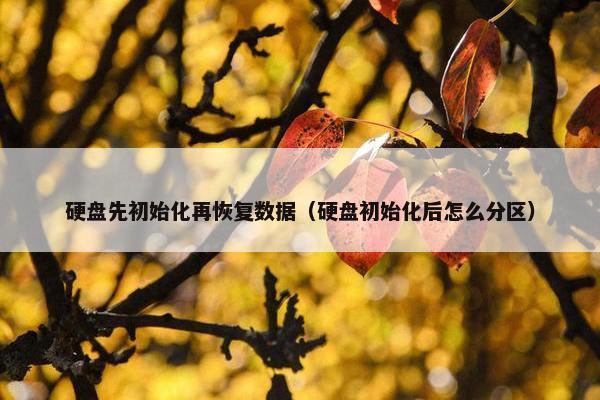 硬盘先初始化再恢复数据（硬盘初始化后怎么分区）
