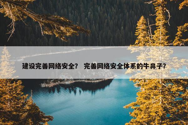 建设完善网络安全？ 完善网络安全体系的牛鼻子？