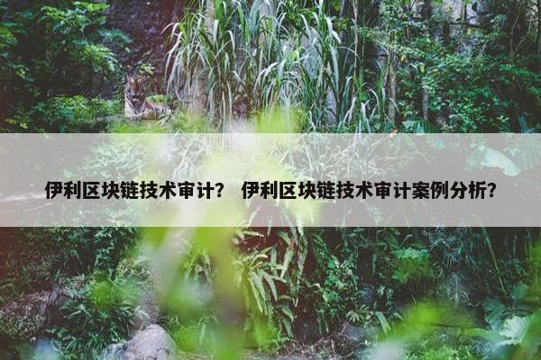 伊利区块链技术审计？ 伊利区块链技术审计案例分析？