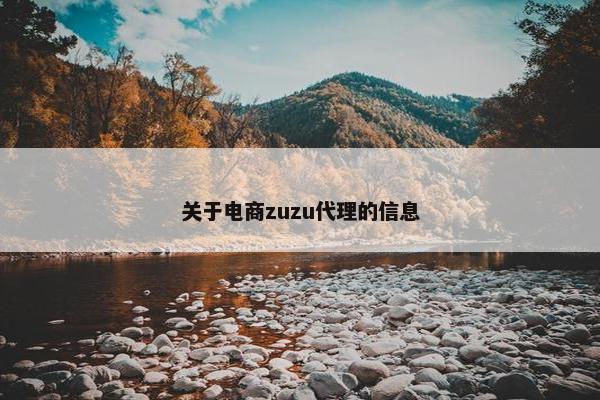 关于电商zuzu代理的信息