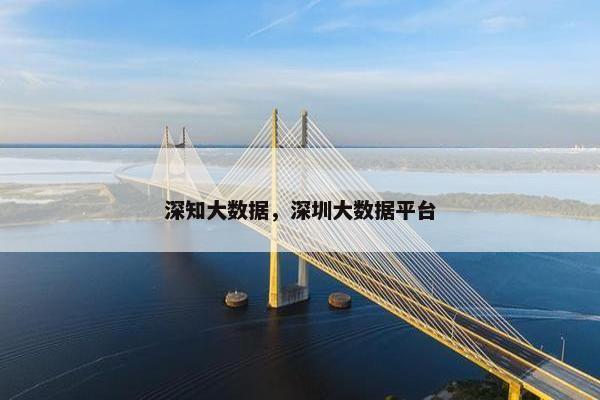 深知大数据，深圳大数据平台