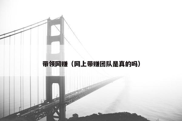 带领网赚（网上带赚团队是真的吗）