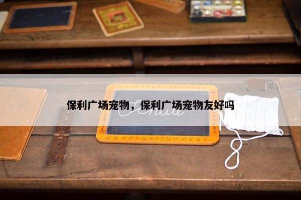 保利广场宠物，保利广场宠物友好吗
