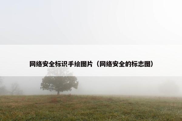 网络安全标识手绘图片（网络安全的标志图）