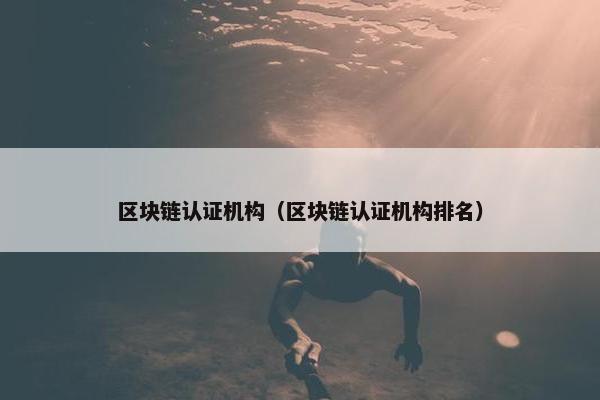 区块链认证机构（区块链认证机构排名）