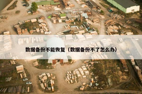 数据备份不能恢复（数据备份不了怎么办）