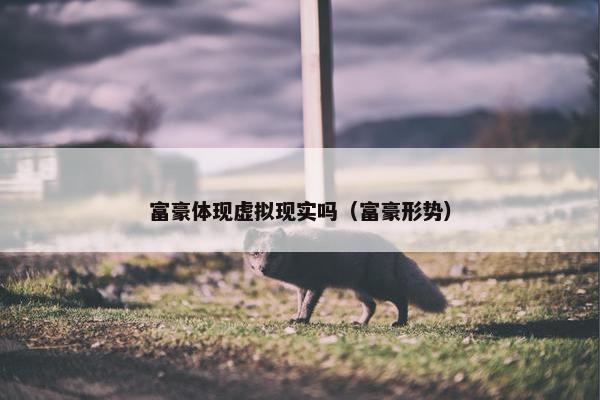 富豪体现虚拟现实吗（富豪形势）