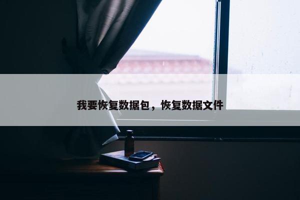 我要恢复数据包，恢复数据文件