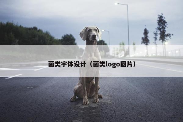 菌类字体设计（菌类logo图片）
