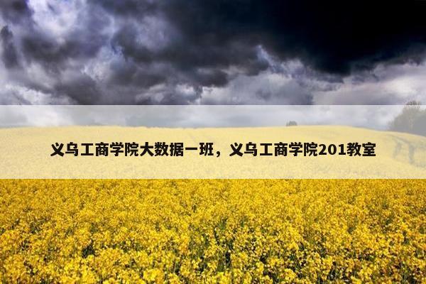 义乌工商学院大数据一班，义乌工商学院201教室