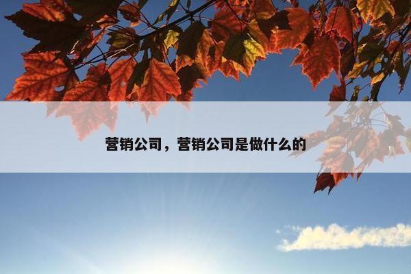 营销公司，营销公司是做什么的