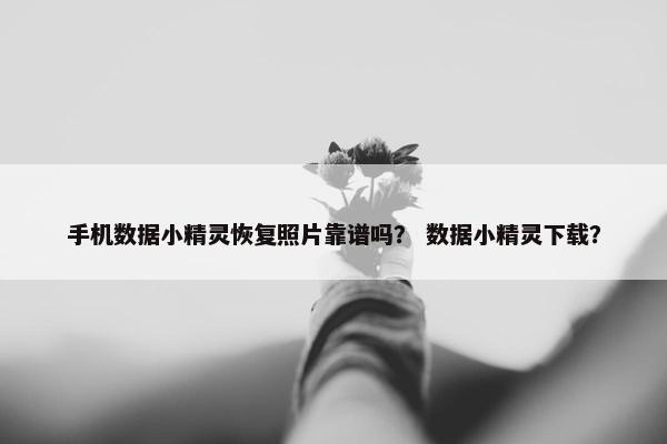 手机数据小精灵恢复照片靠谱吗？ 数据小精灵下载？