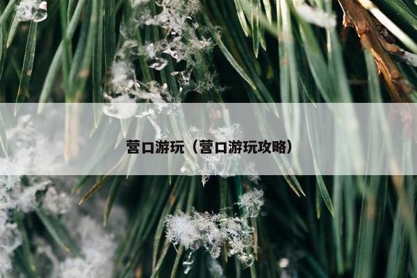 营口游玩（营口游玩攻略）
