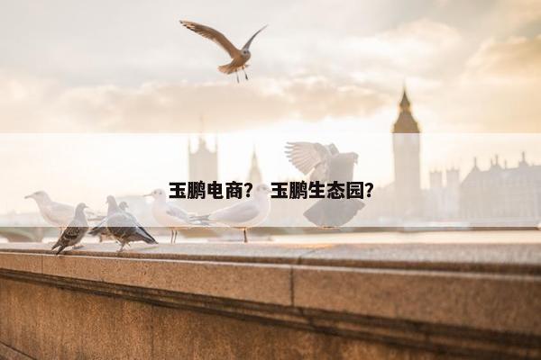 玉鹏电商？ 玉鹏生态园？