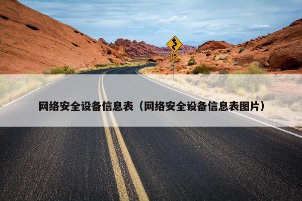 网络安全设备信息表（网络安全设备信息表图片）