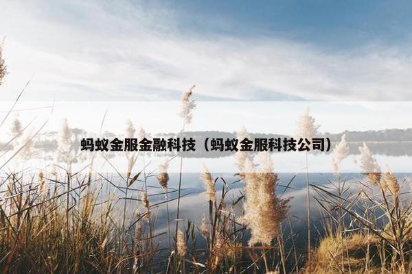 蚂蚁金服金融科技（蚂蚁金服科技公司）