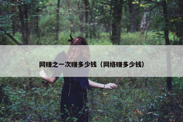 网赚之一次赚多少钱（网络赚多少钱）