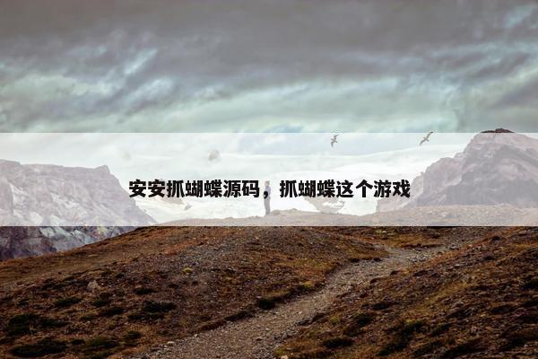 安安抓蝴蝶源码，抓蝴蝶这个游戏
