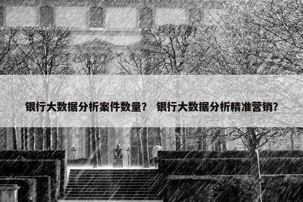银行大数据分析案件数量？ 银行大数据分析精准营销？