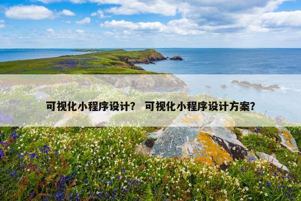 可视化小程序设计？ 可视化小程序设计方案？