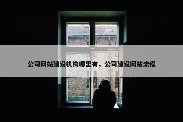 公司网站建设机构哪里有，公司建设网站流程